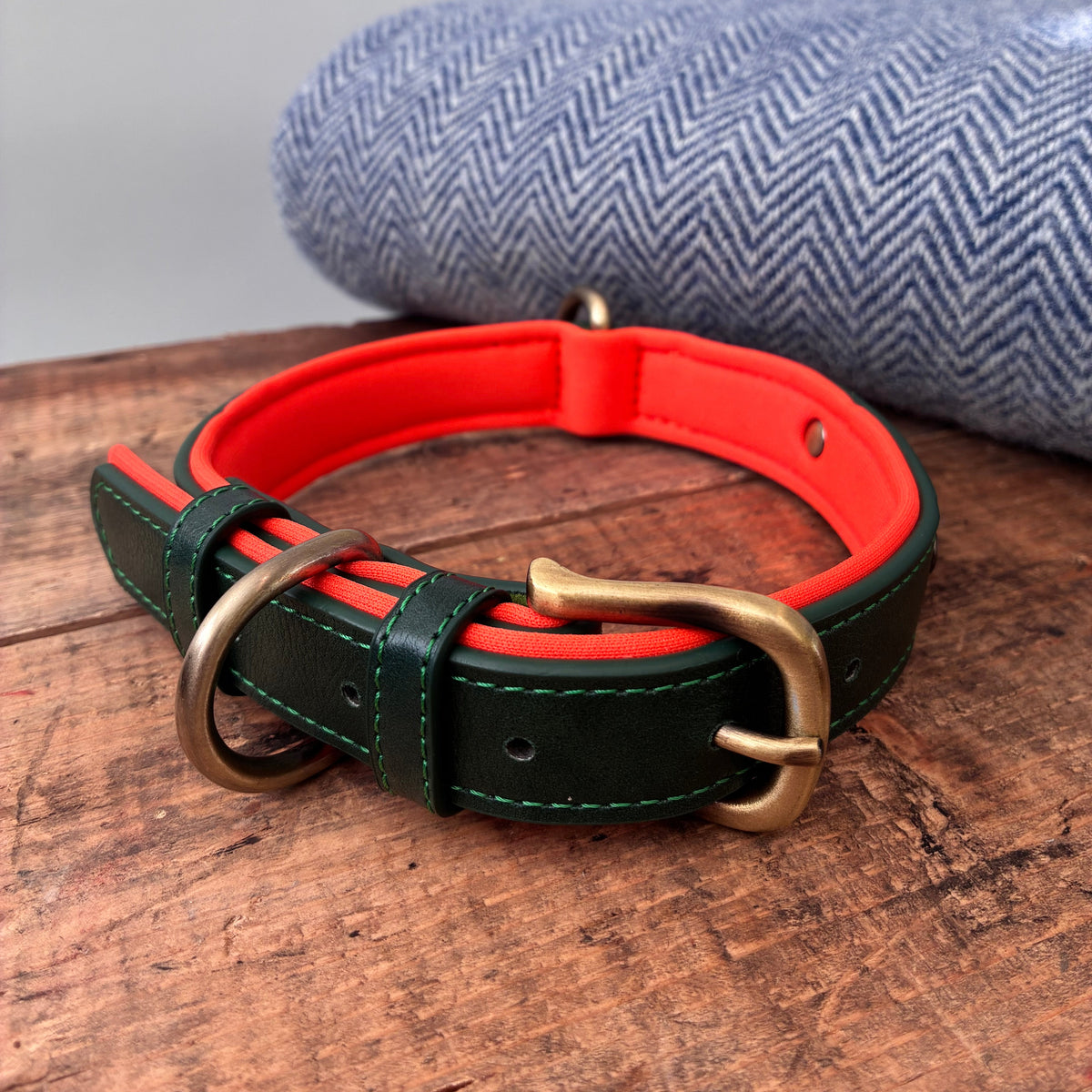 Heritage Collar - Forest Green & Vibrant Orange