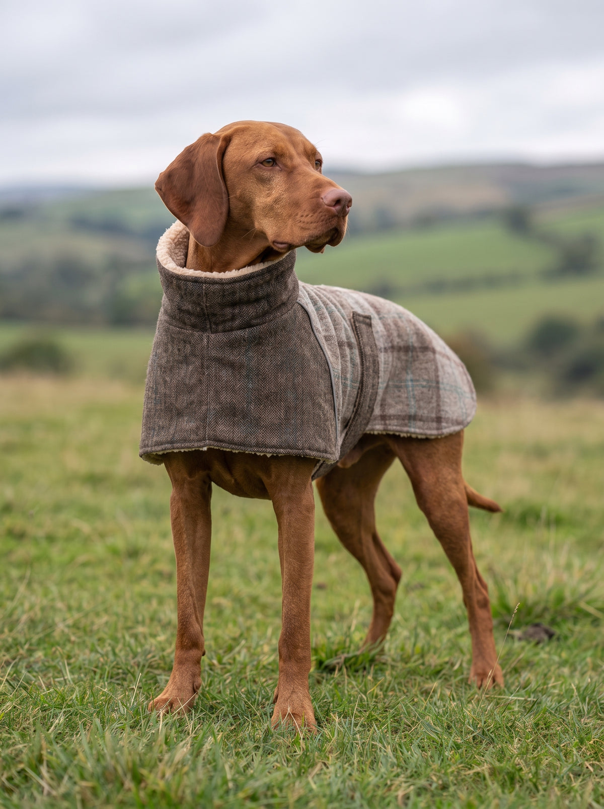 Abrigo de forro polar Tundra – Taupe