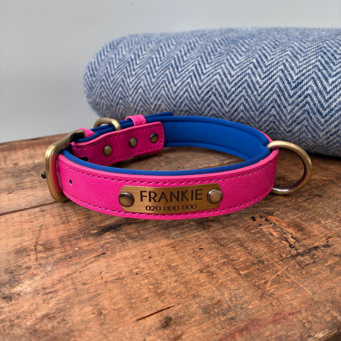 Heritage Collar - Electric Pink &amp; Royal Blue