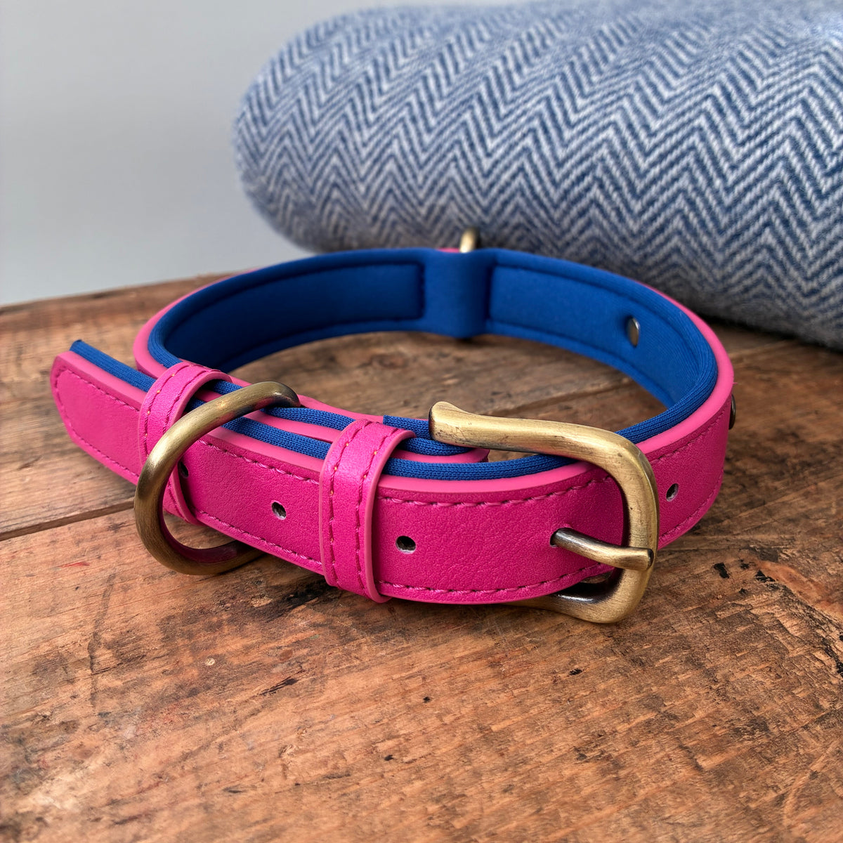 Heritage Collar - Electric Pink &amp; Royal Blue