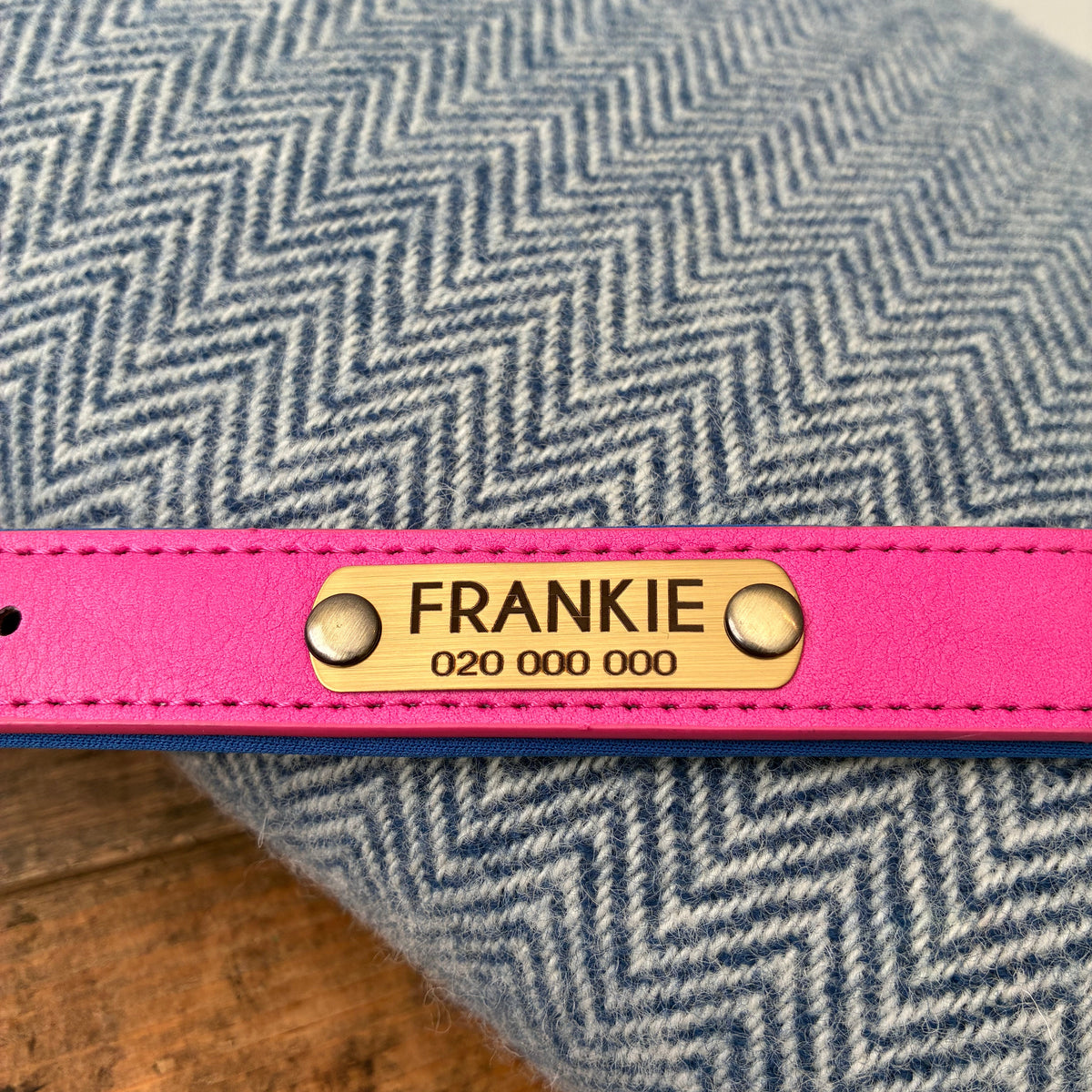 Heritage Collar - Electric Pink &amp; Royal Blue