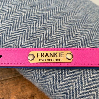 Heritage Collar - Electric Pink &amp; Royal Blue