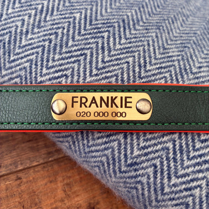 Heritage Collar - Forest Green &amp; Vibrant Orange