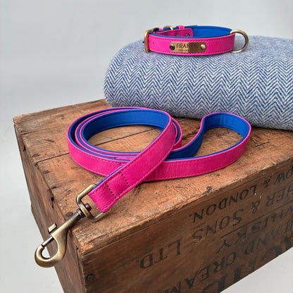 Heritage Collar - Electric Pink &amp; Royal Blue
