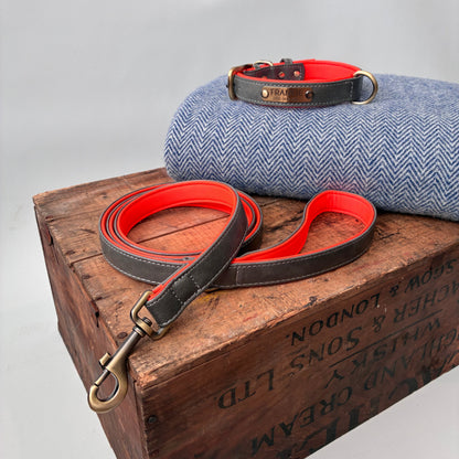 Heritage Collar - Slate Grey &amp; Vibrant Orange