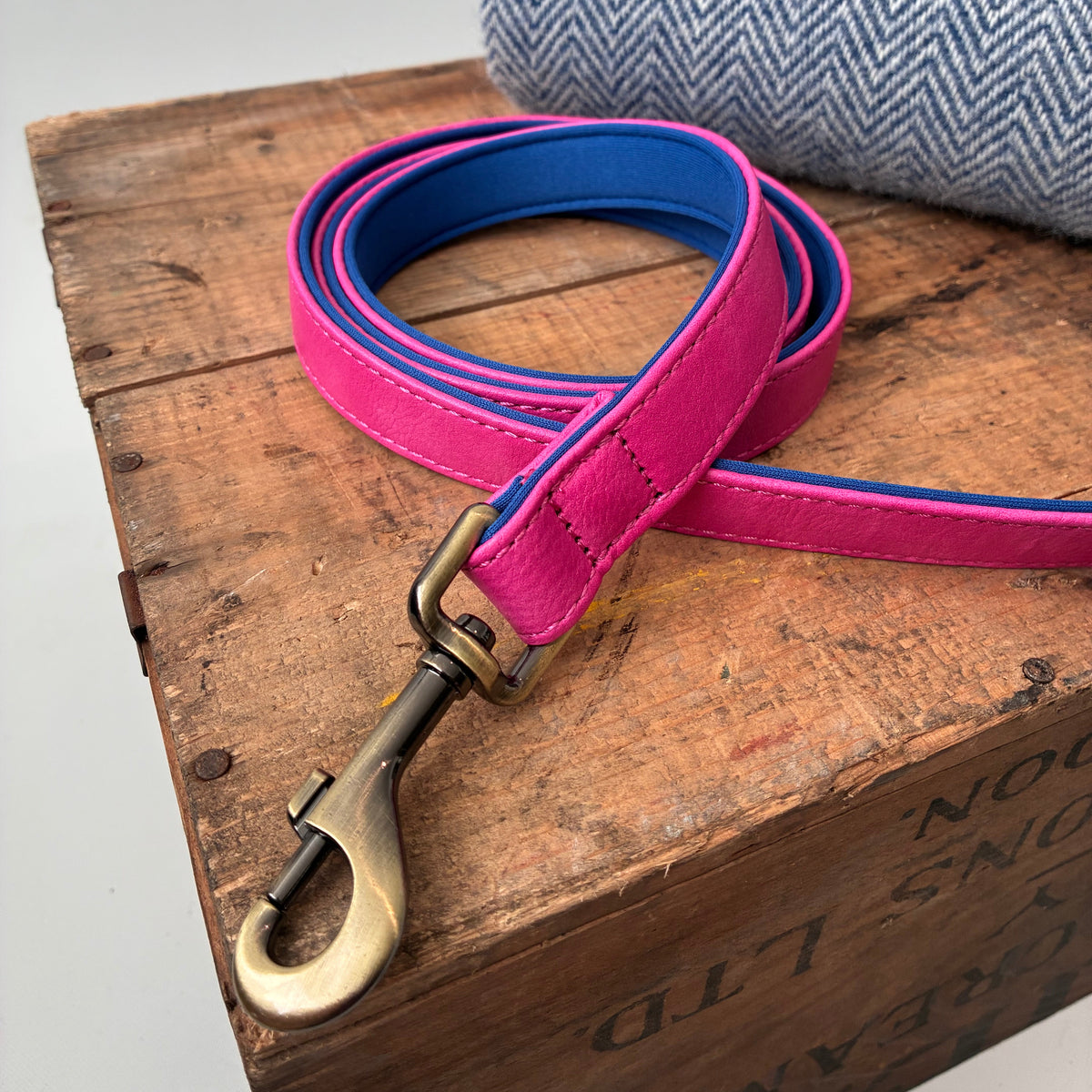 Heritage Collar - Electric Pink &amp; Royal Blue