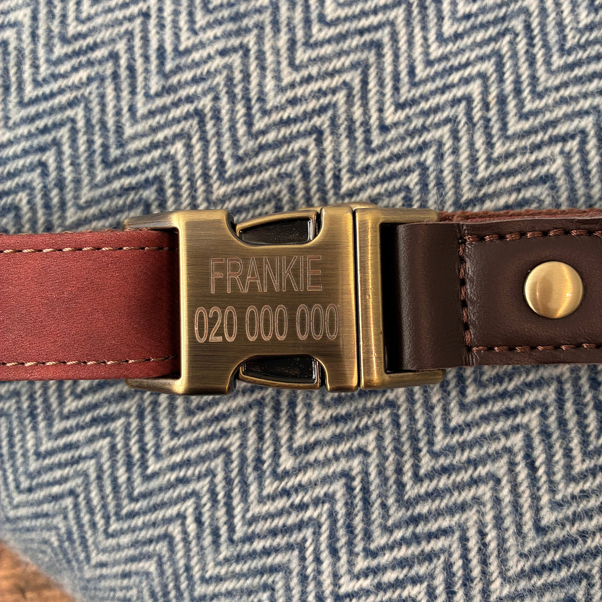 Terra Collar - Savanna Sand