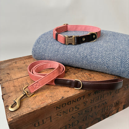 Terra Collar - Desert Rose