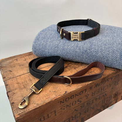 Terra Collar - Midnight Basalt