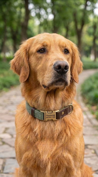 Terra Collar - Alpine Sage