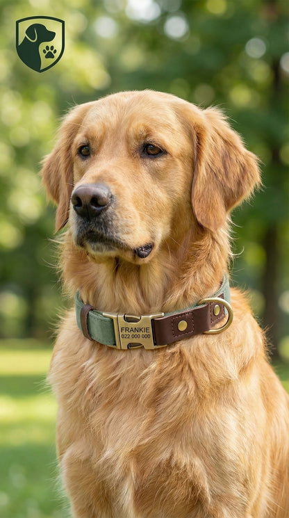 Terra Collar - Alpine Sage