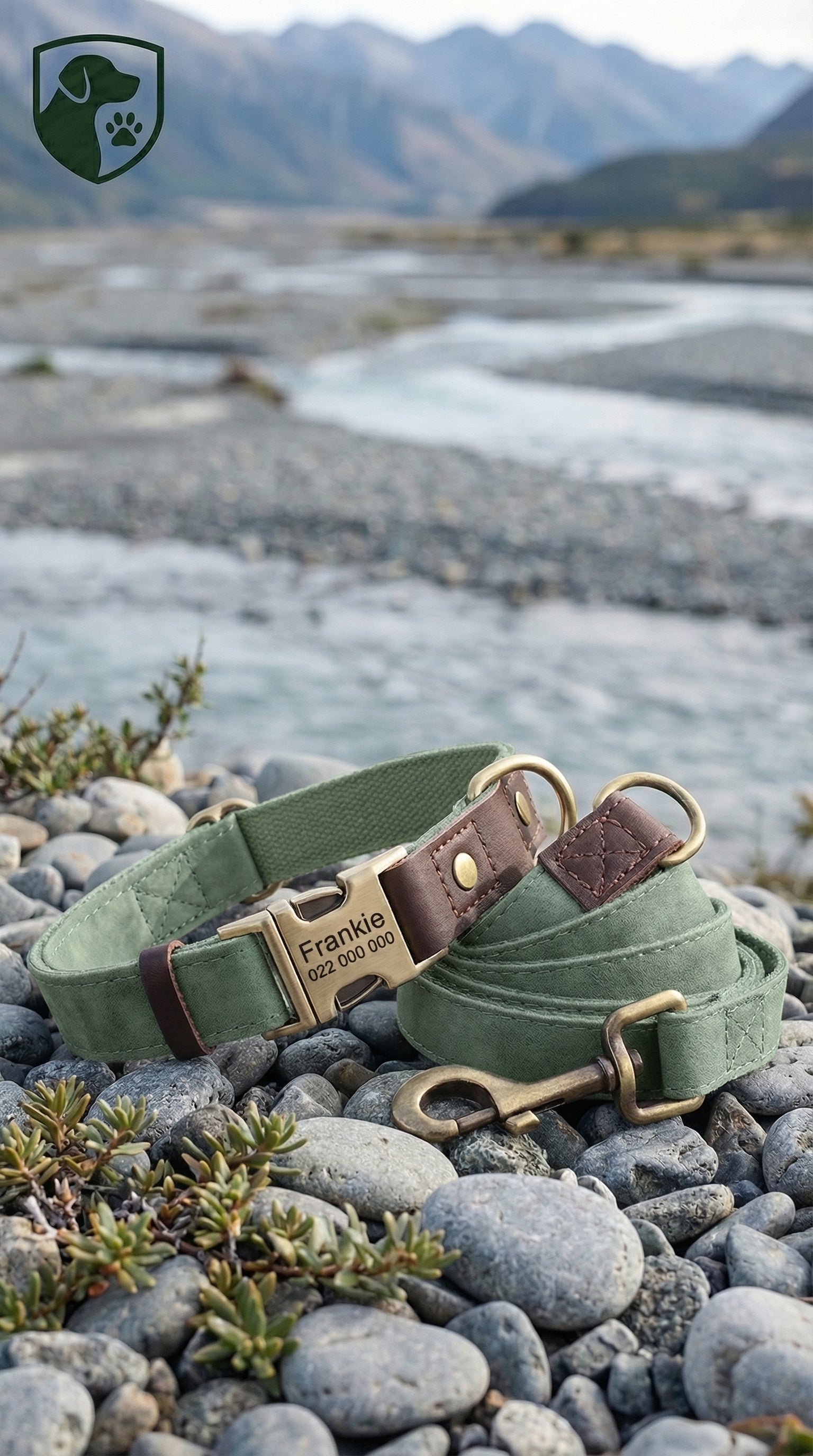 Green dog collar with brass hardware on pebbles with a mountainous background