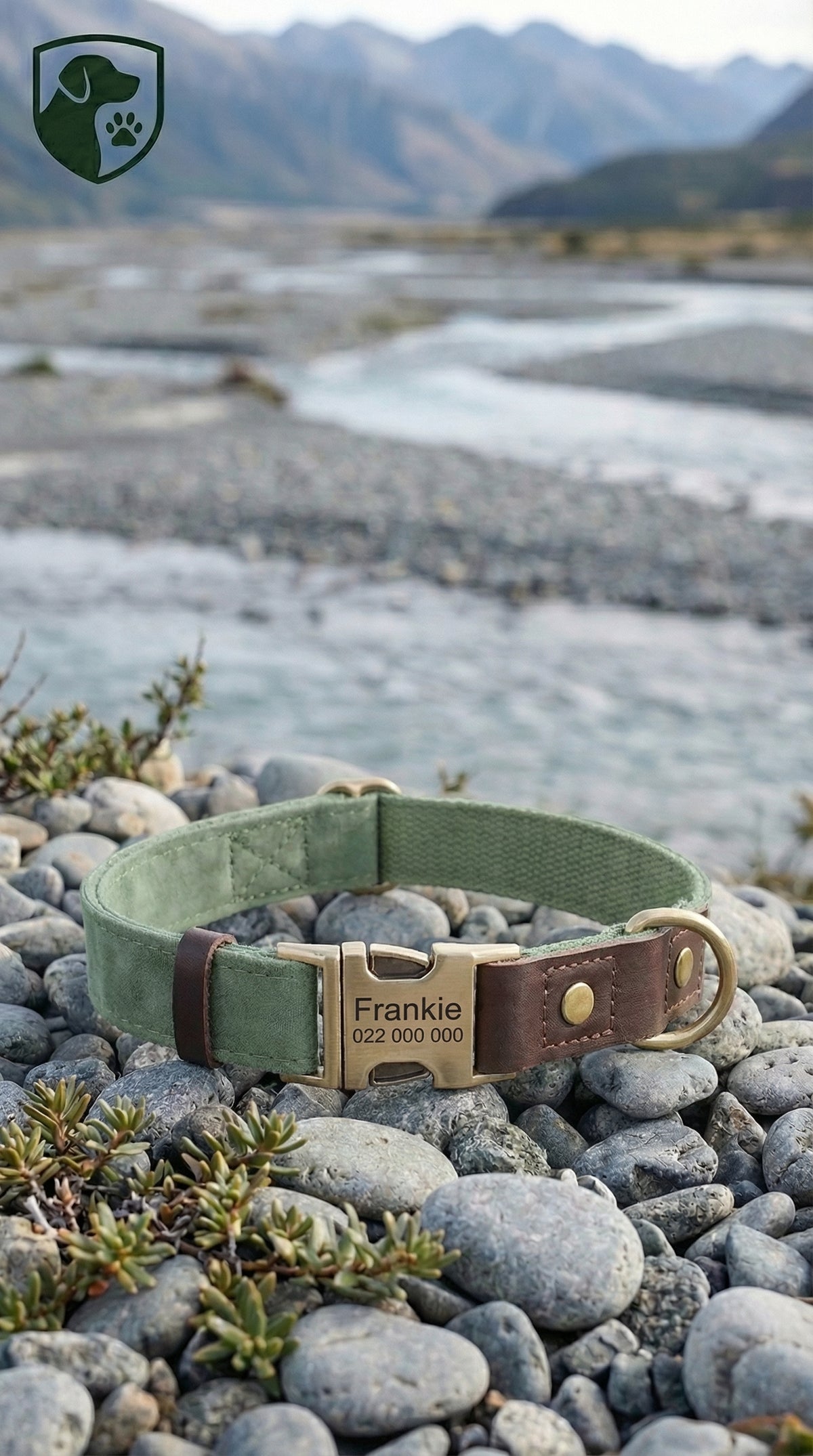 Green dog collar with leather strap on pebbles near a river and mountains
