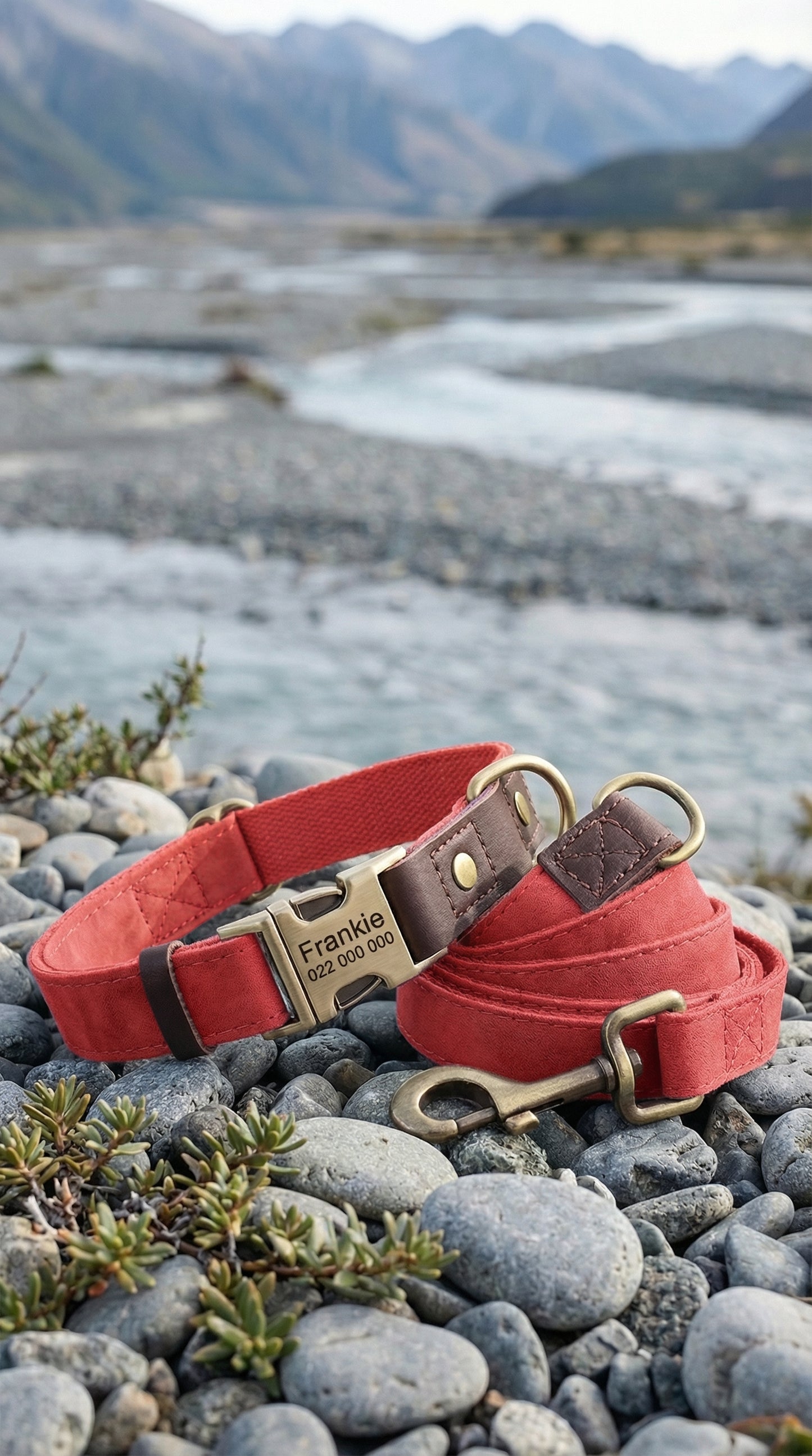 Red dog collar and leash on pebbles with a mountainous landscape in the background