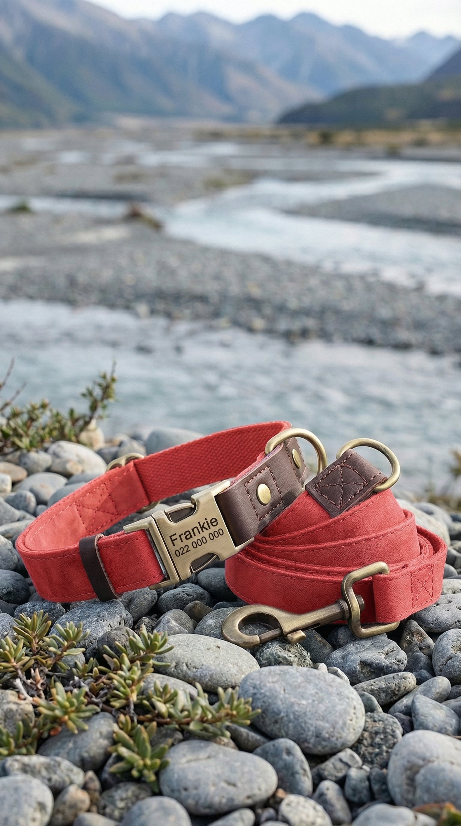Red dog collar and leash on pebbles with a mountainous landscape in the background
