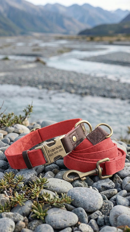 Red dog collar and leash on pebbles with a mountainous landscape in the background