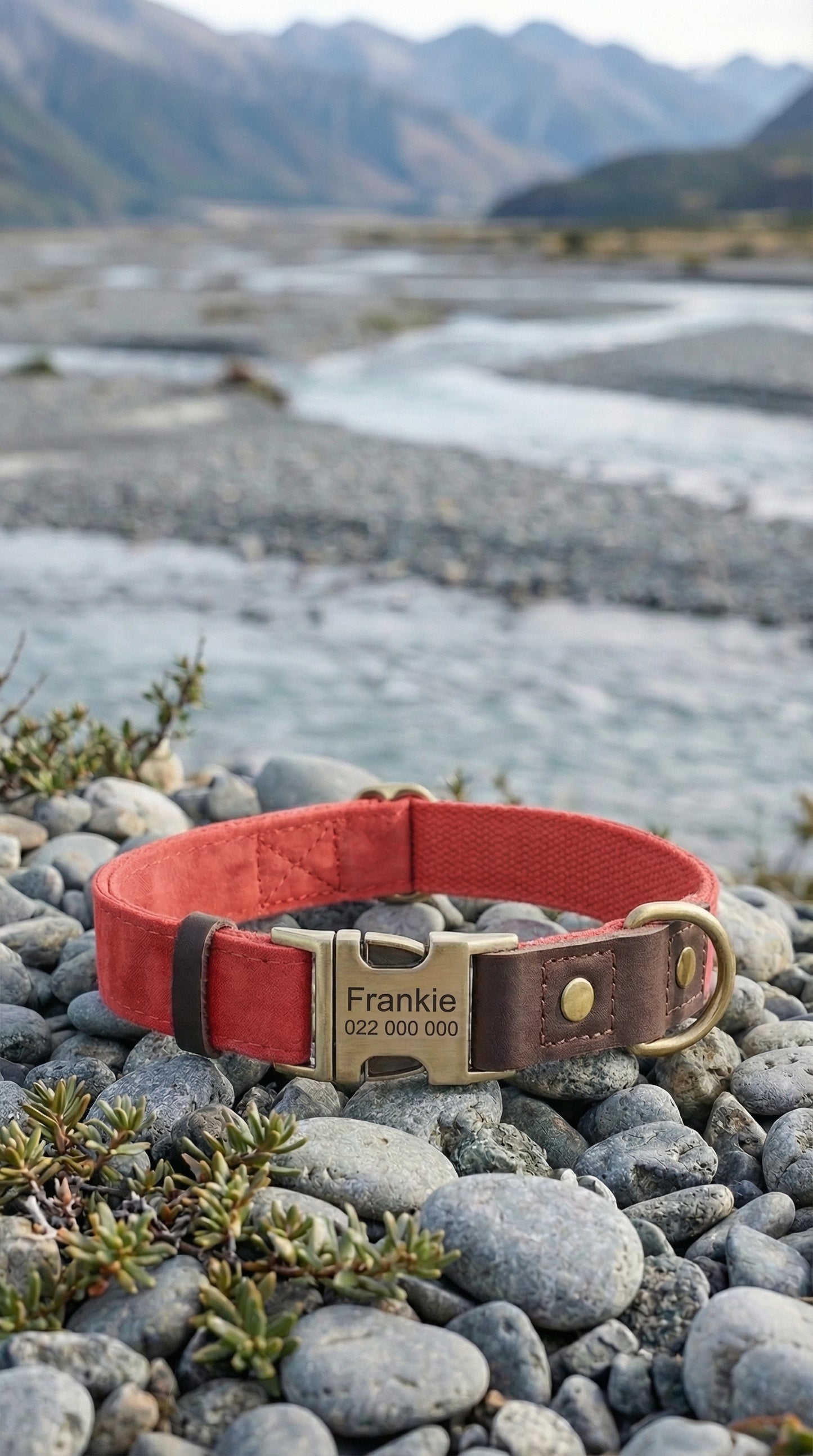 Red dog collar with a engraved name and number on pebbles near a mountainous landscape