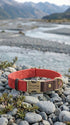 Red dog collar with a engraved name and number on pebbles near a mountainous landscape