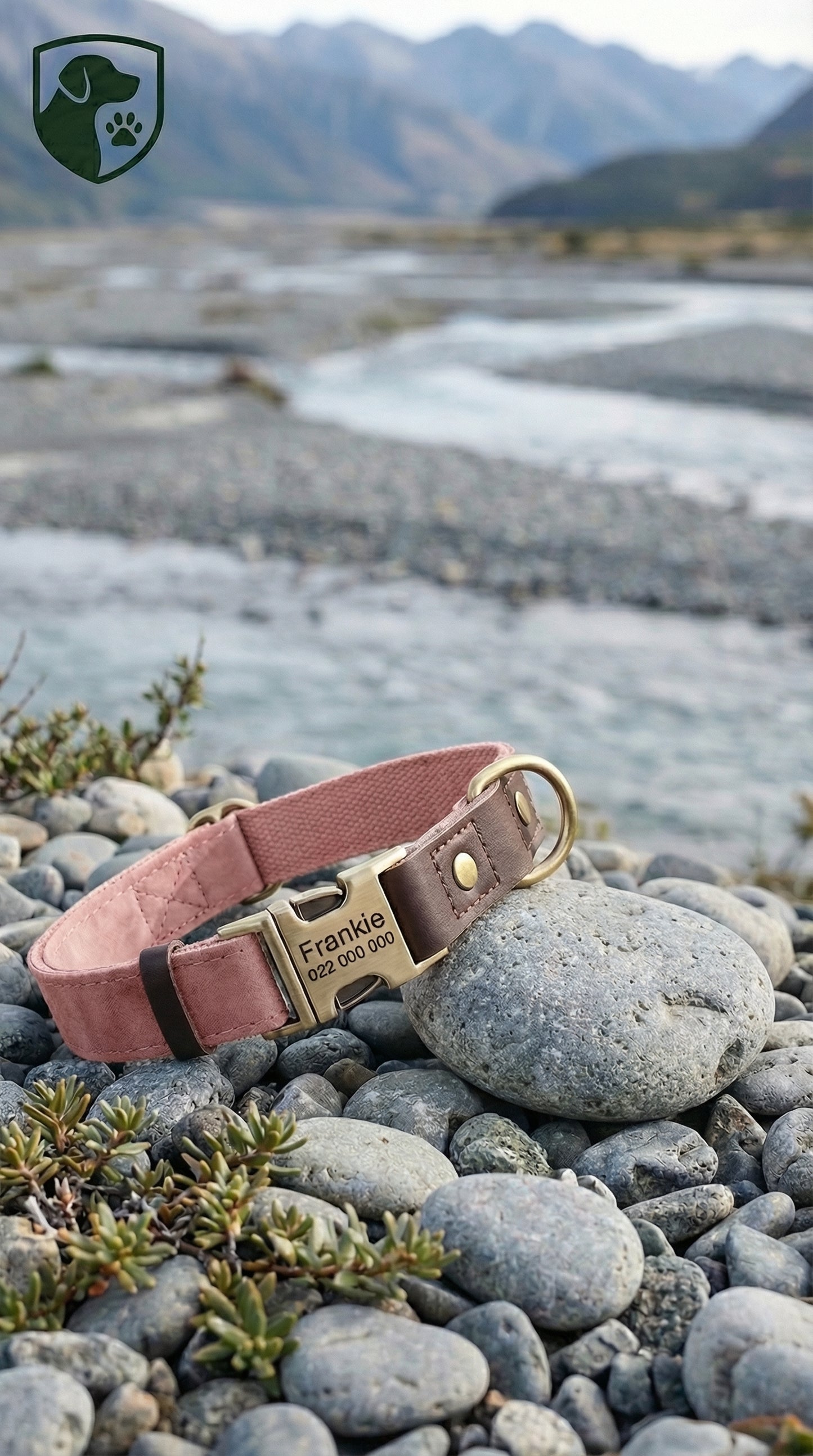 Pink dog collar with gold hardware on a rocky surface with a mountainous background