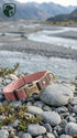 Pink dog collar with gold hardware on a rocky surface with a mountainous background