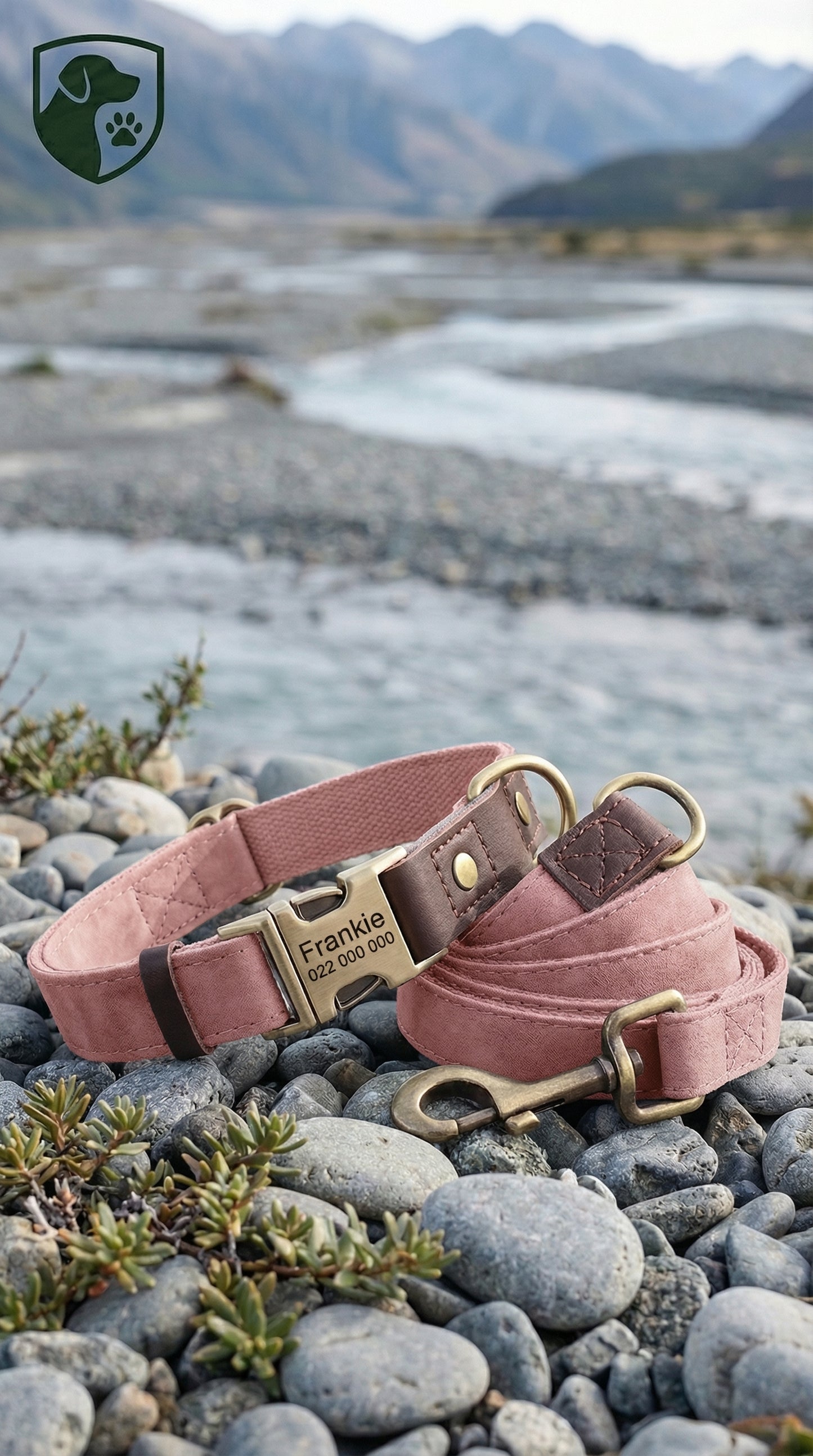 Pink dog collar with brass hardware on a rocky surface with a mountainous background