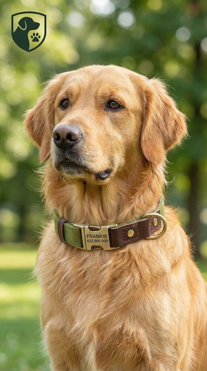 Golden retriever wearing a collar with a brand name, standing outdoors with greenery in the background.
