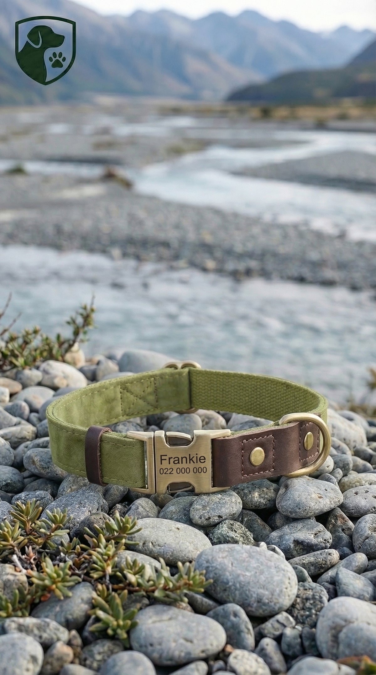 Green dog collar with a brown leather strap on pebbles near a body of water and mountains.