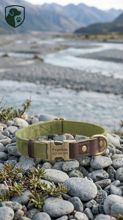 Green dog collar with a brown leather strap on pebbles near a body of water and mountains.