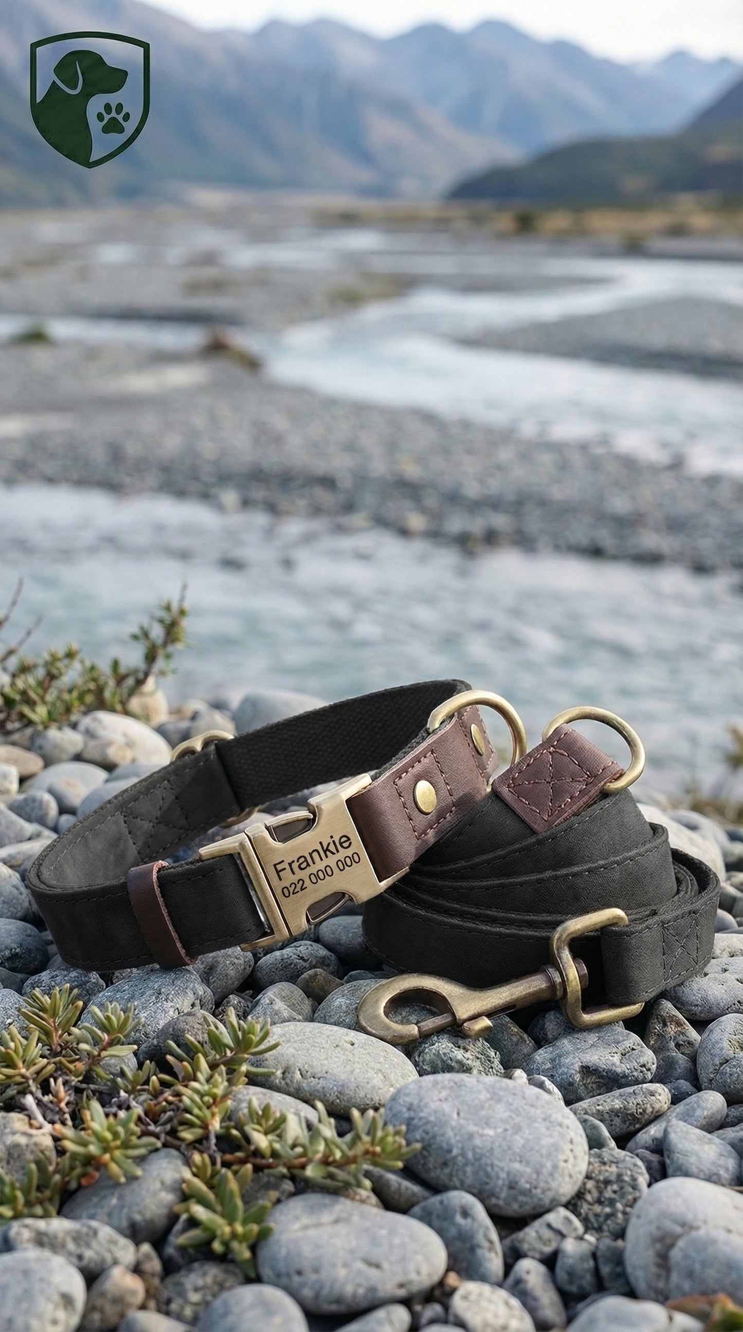 Two leather dog collars with brass hardware on a rocky surface with a mountainous background.