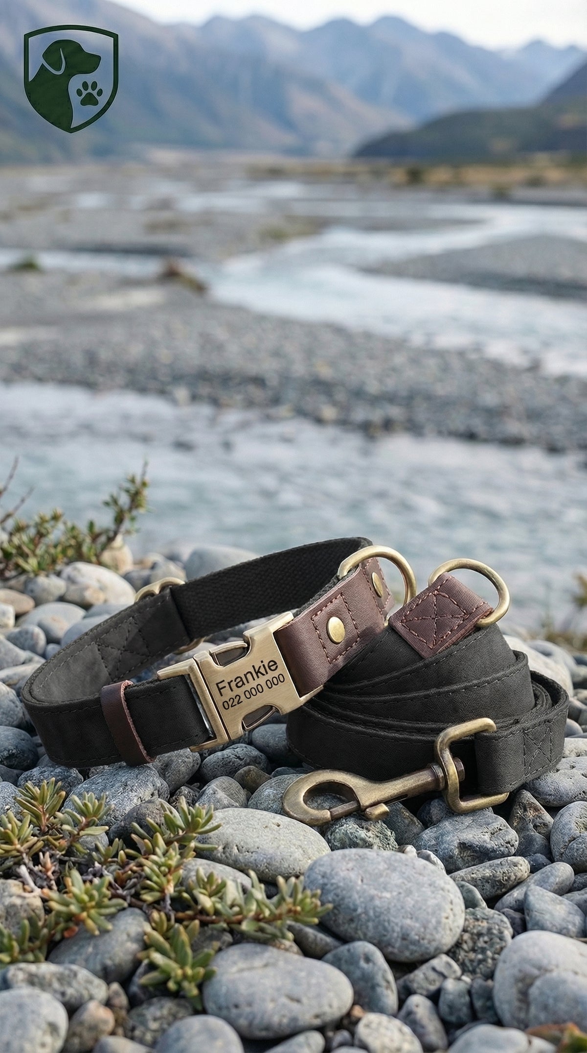 Two leather dog collars with brass hardware on a rocky surface with a mountainous background.
