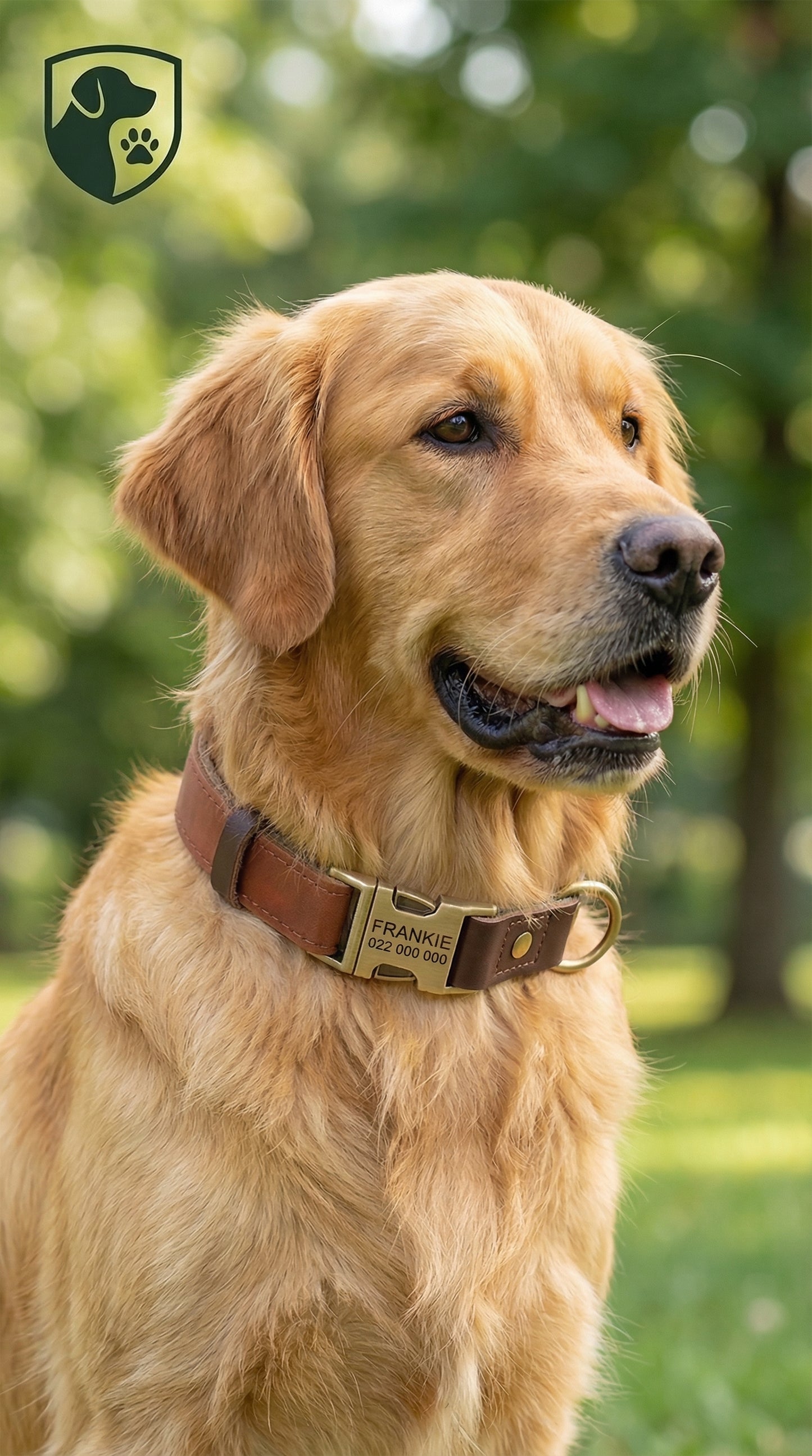 Terra Collar - Savanna Sand