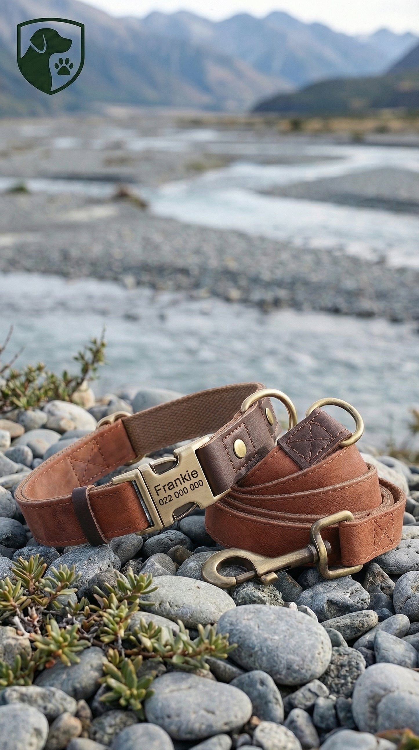 Brown leather dog collar with brass hardware on a rocky surface with a mountainous background