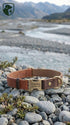 Brown leather dog collar with metal tag on pebbles near a mountainous landscape