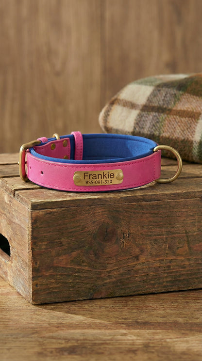 Heritage Collar - Electric Pink & Royal Blue
