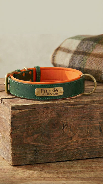 Heritage Collar - Forest Green & Vibrant Orange