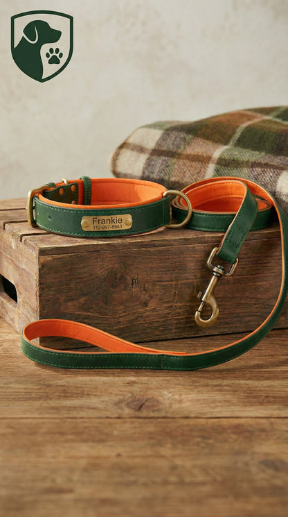 Heritage Collar - Forest Green & Vibrant Orange