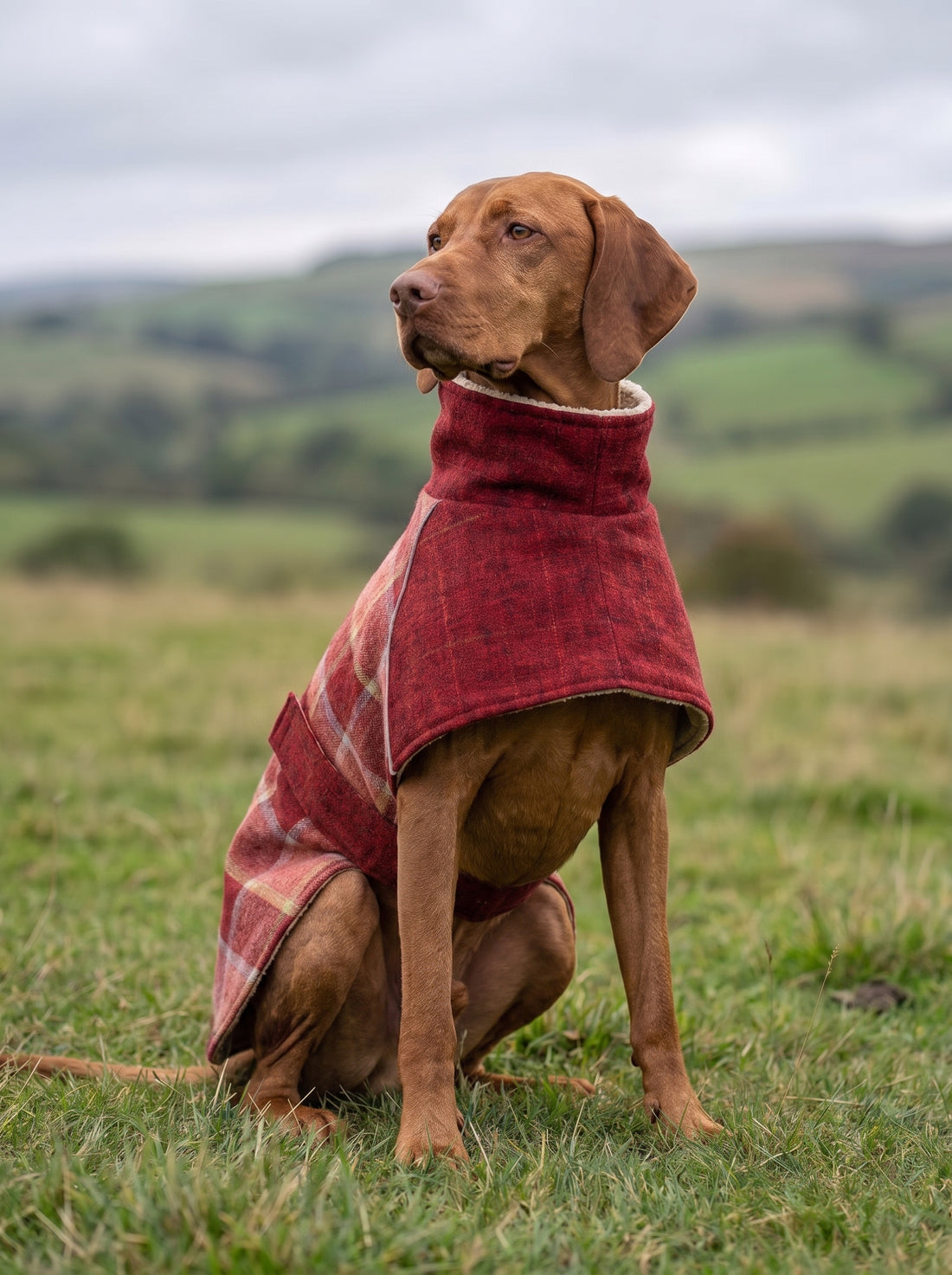 Casaco de Fleece Tundra – Vinho