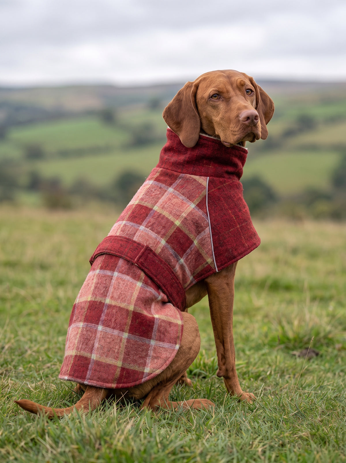 Casaco de Fleece Tundra – Vinho