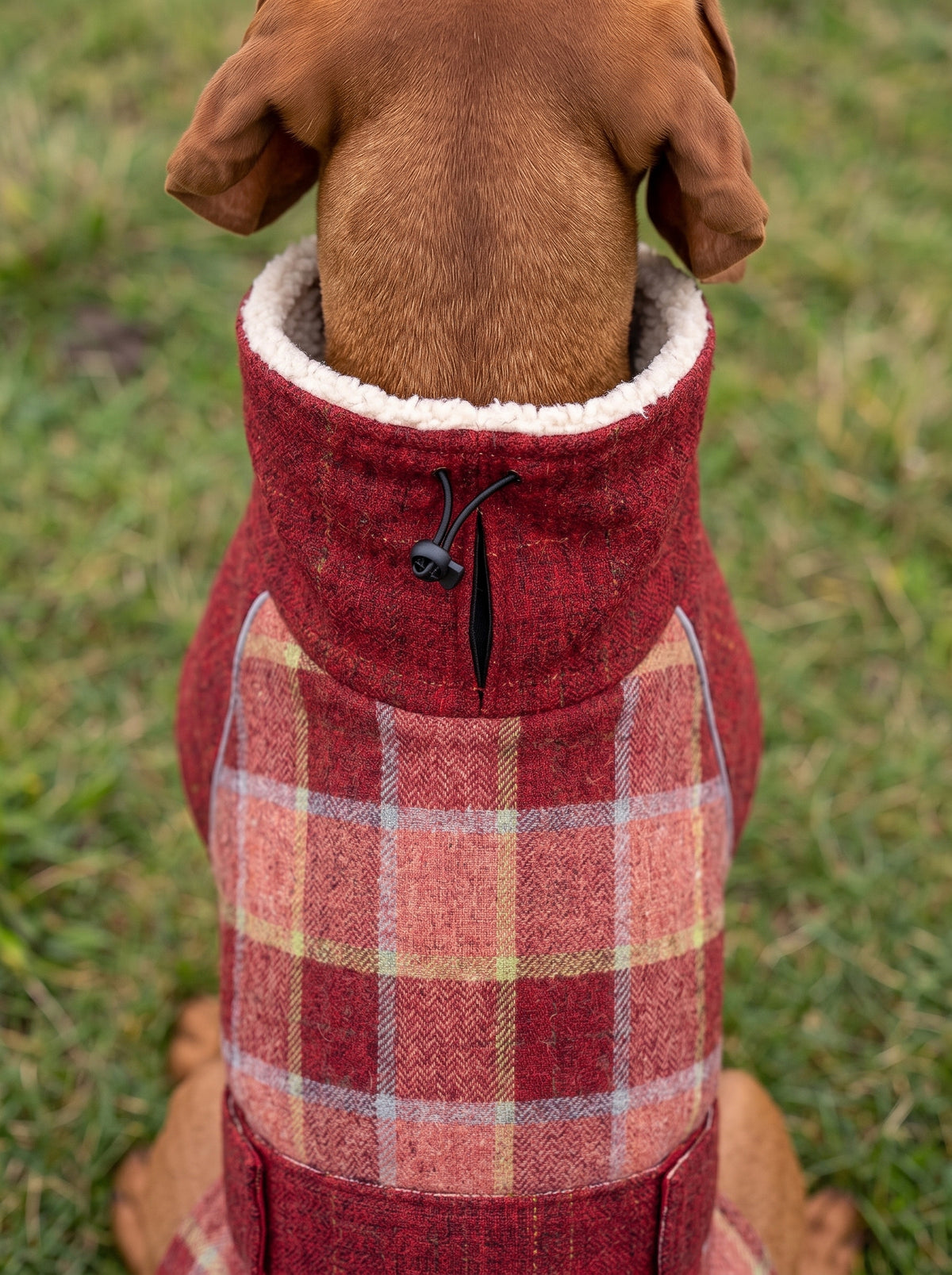 Casaco de Fleece Tundra – Vinho