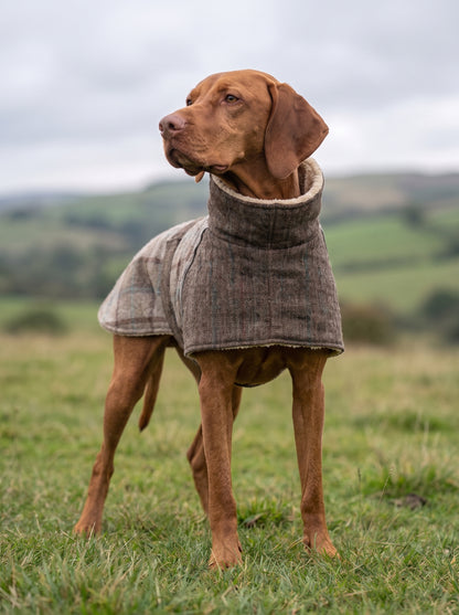Tundra Fleece Coat – Taupe